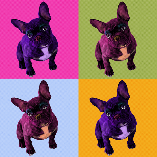 Warhol Style Pop Art Quad Portrait of Your Pet - Custom Digital Art